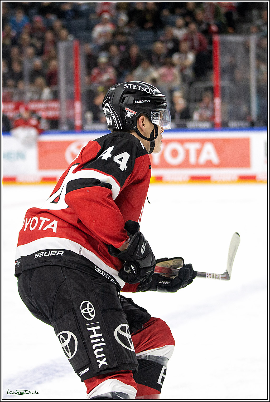 PENNY DEL; Koelner Haie- Bietigheim Steelers; Koeln, 19.11.2021